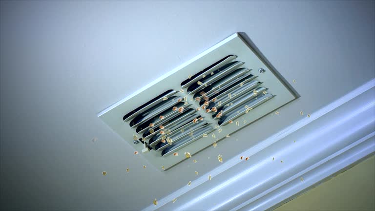 Best HVAC Duct Inspection Services  in Rehoboth Beach, DE